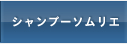 開発者について